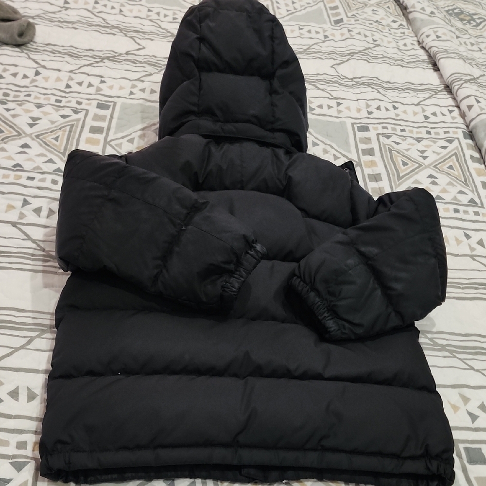 Polo by Ralph Lauren Kids Black Puffer Jacket with Red Logo - Picture 5 of 5